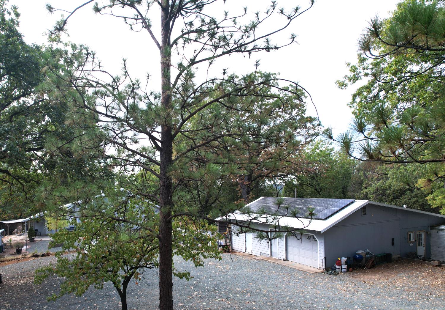 20480 Timber Ridge Road Pine Grove, CA 95665 - Photo 4 of 56 a backyard of a house with table and chairs