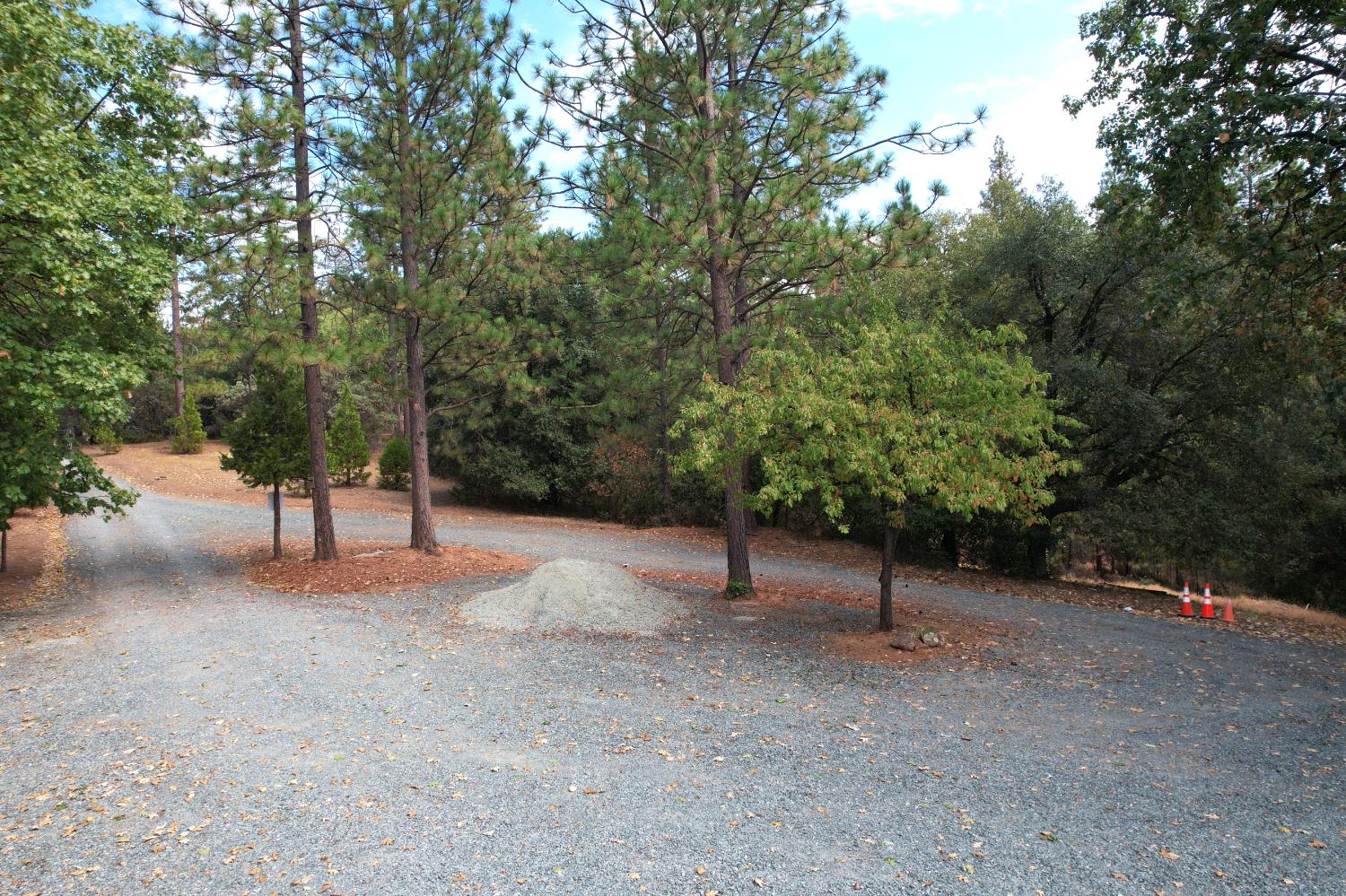 20480 Timber Ridge Road Pine Grove, CA 95665 - Photo 5 of 56 a view of a forest with trees