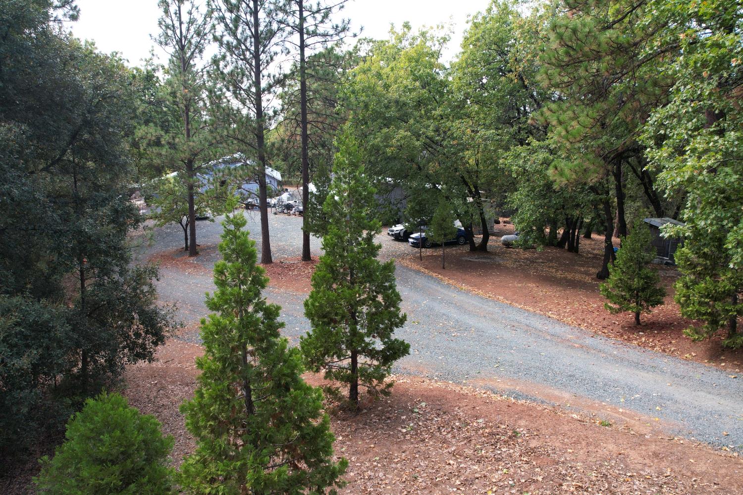 20480 Timber Ridge Road Pine Grove, CA 95665 - Photo 54 of 56