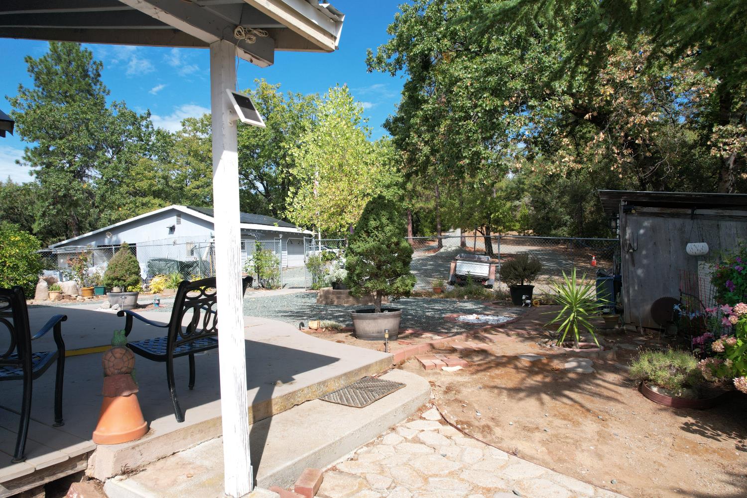 20480 Timber Ridge Road Pine Grove, CA 95665 - Photo 7 of 56 a view of backyard with patio