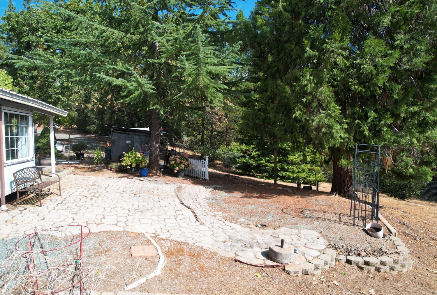 20480 Timber Ridge Road Pine Grove, CA 95665 - Photo 9 of 56 a view of a backyard with a patio