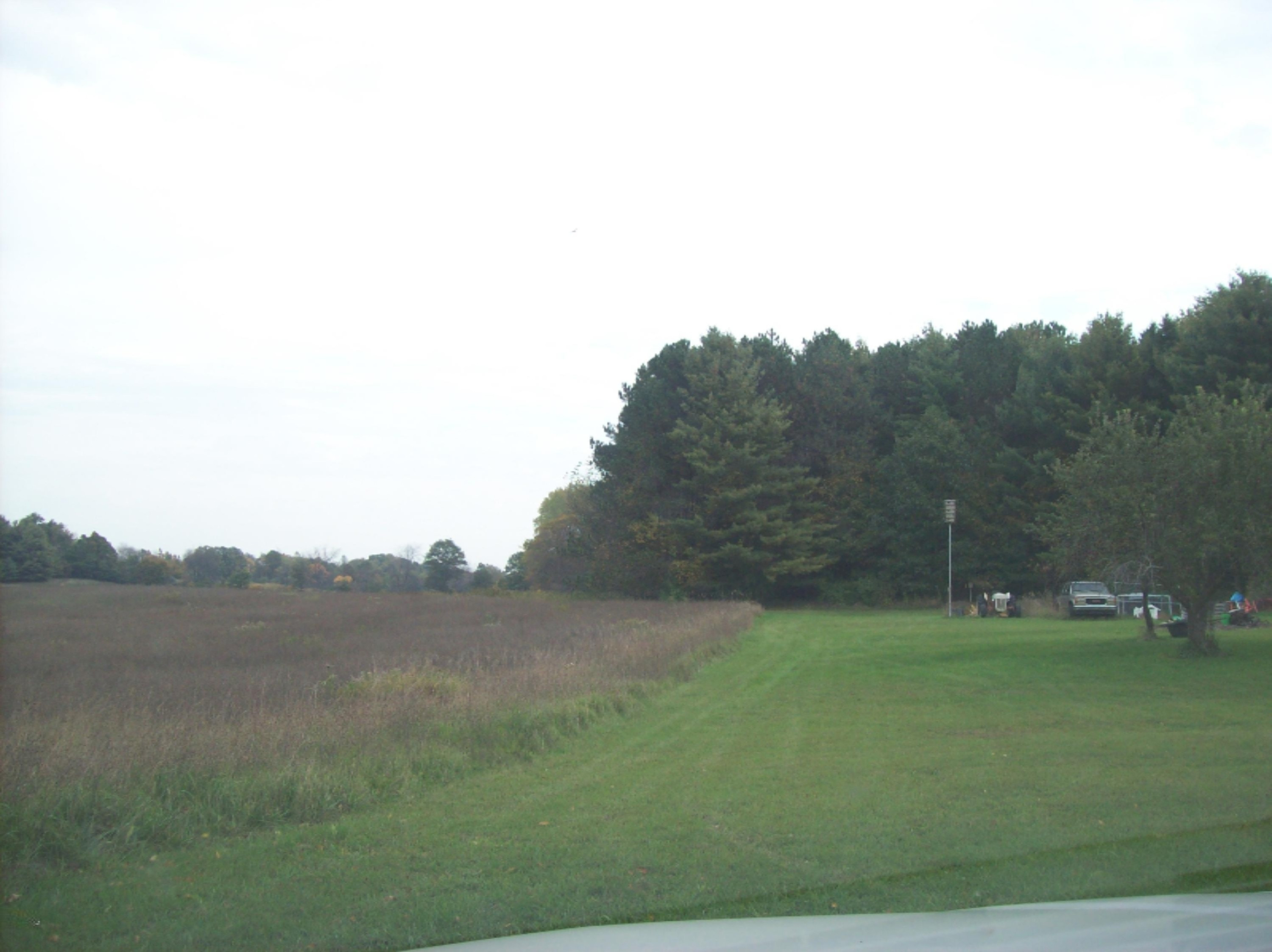 0 Edgar Road Edmore, MI 48829 - Photo 11 of 11 100_3049