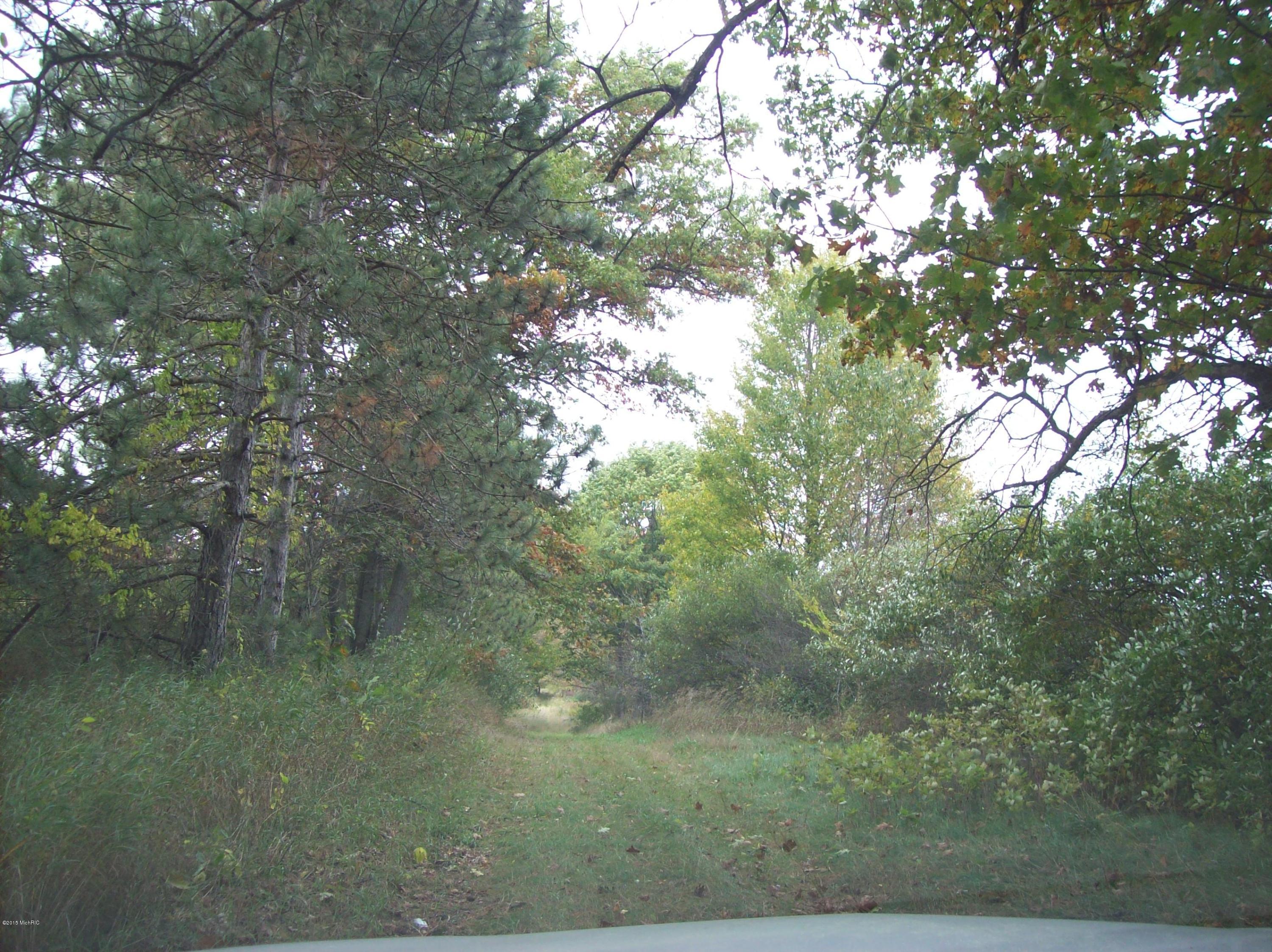 0 Edgar Road Edmore, MI 48829 - Photo 2 of 11 100_3045