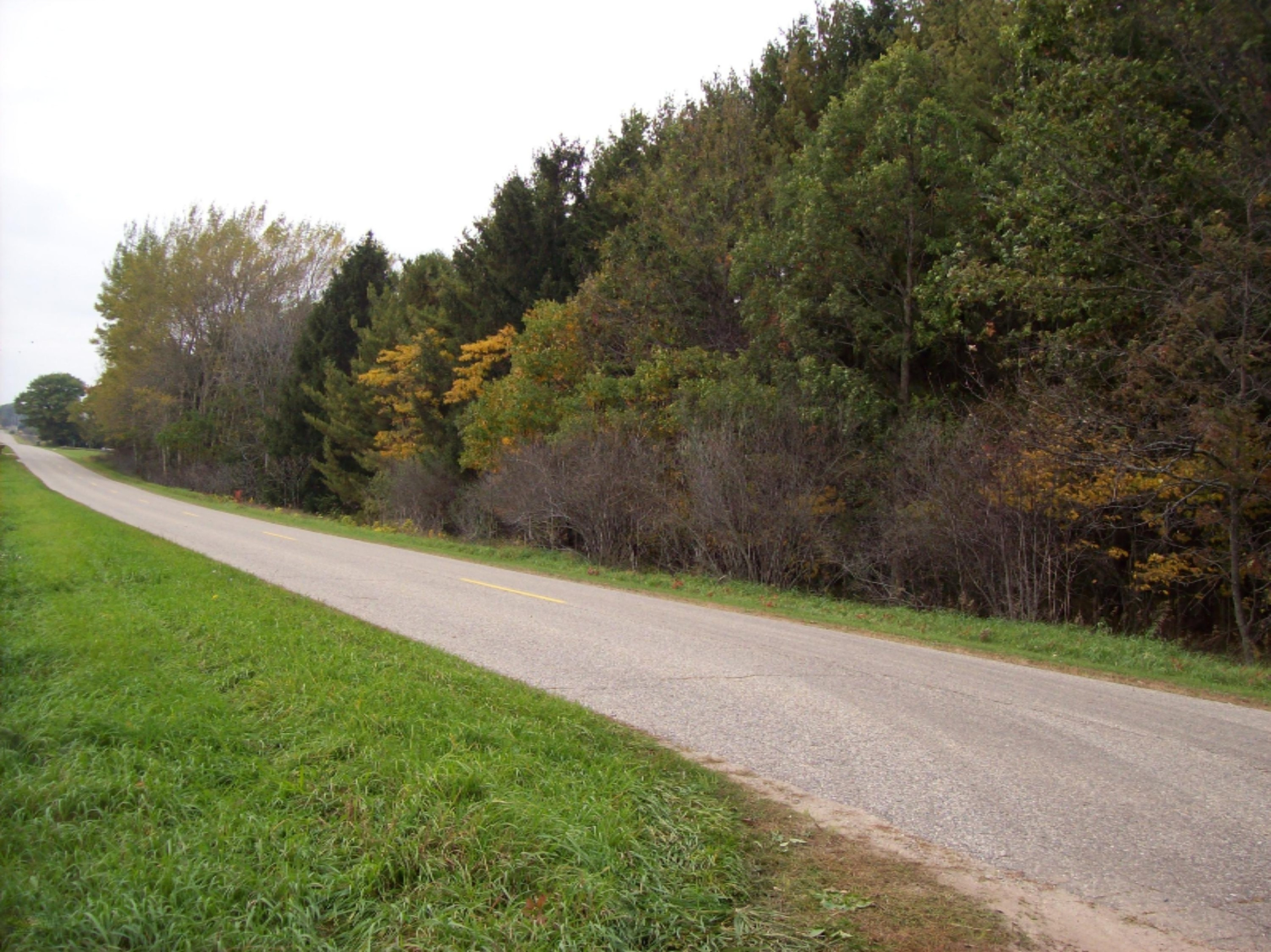 0 Edgar Road Edmore, MI 48829 - Photo 3 of 11 100_3054