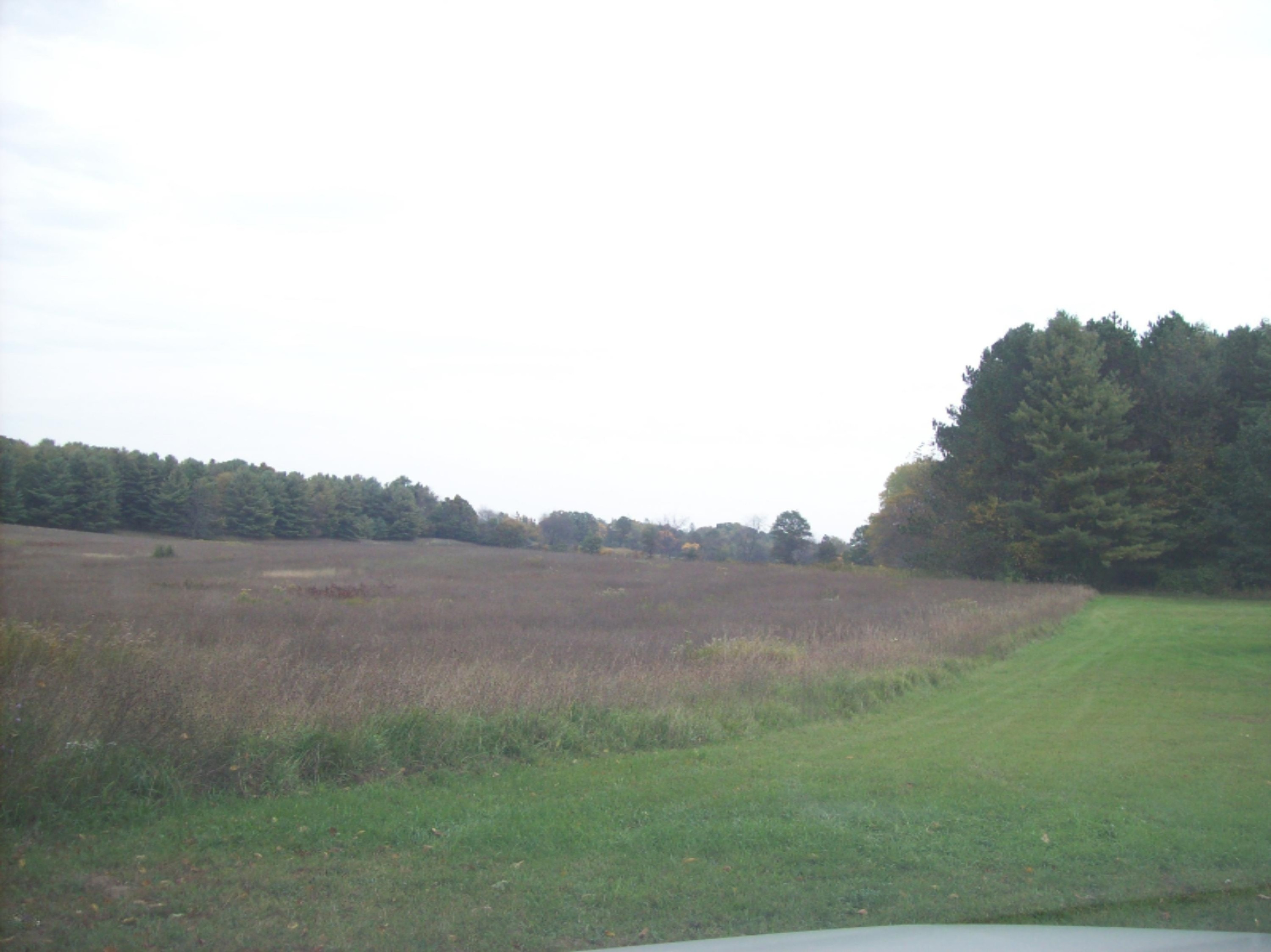 0 Edgar Road Edmore, MI 48829 - Photo 4 of 11 100_3046