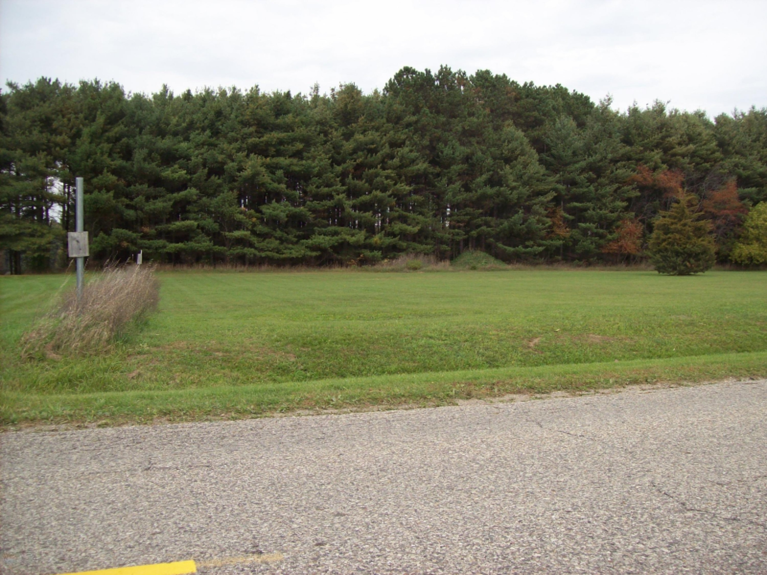 0 Edgar Road Edmore, MI 48829 - Photo 5 of 11 100_3050