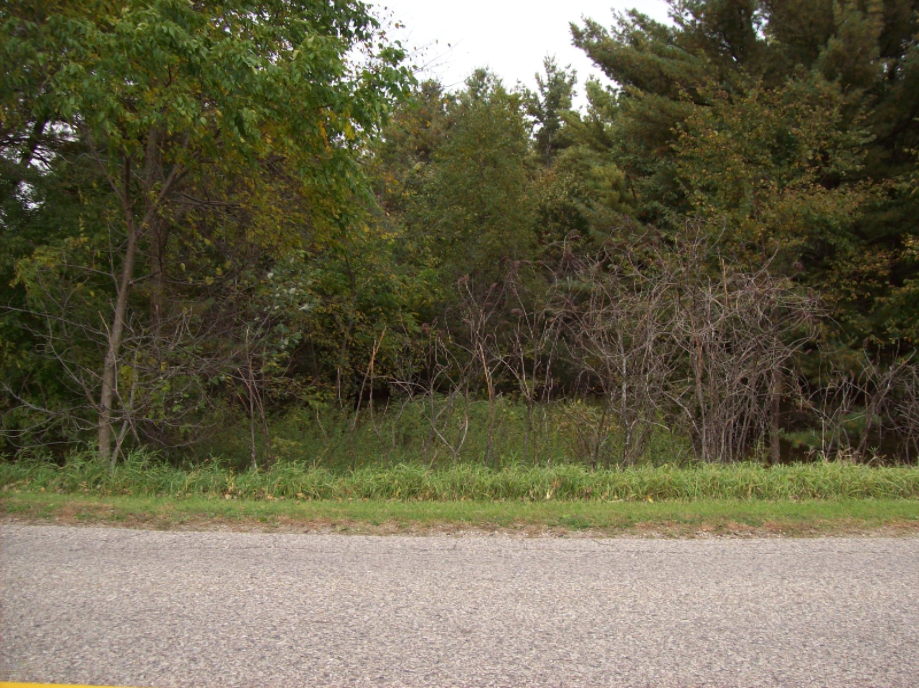 0 Edgar Road Edmore, MI 48829 - Photo 6 of 11 100_3052