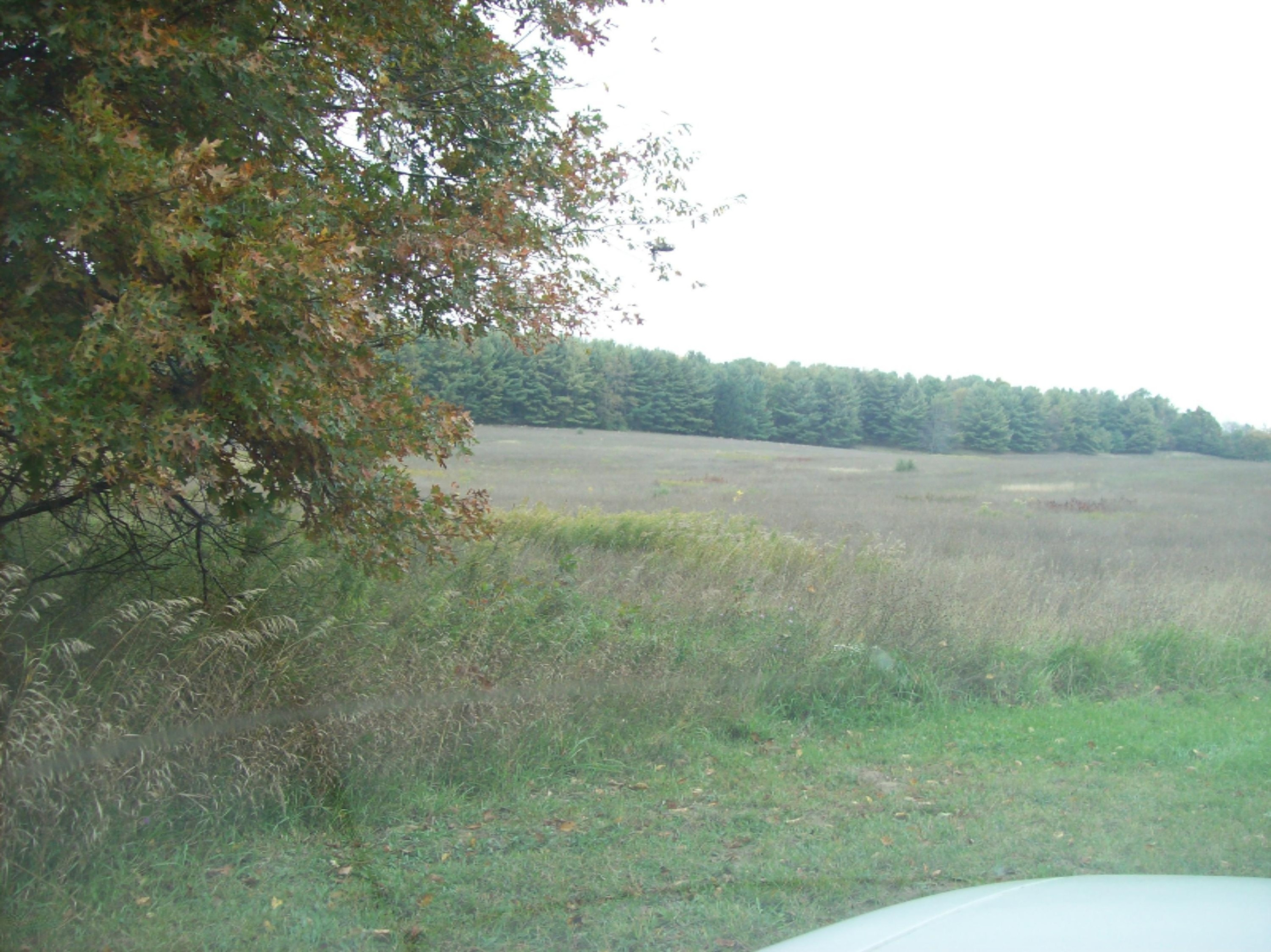 0 Edgar Road Edmore, MI 48829 - Photo 10 of 11 100_3047