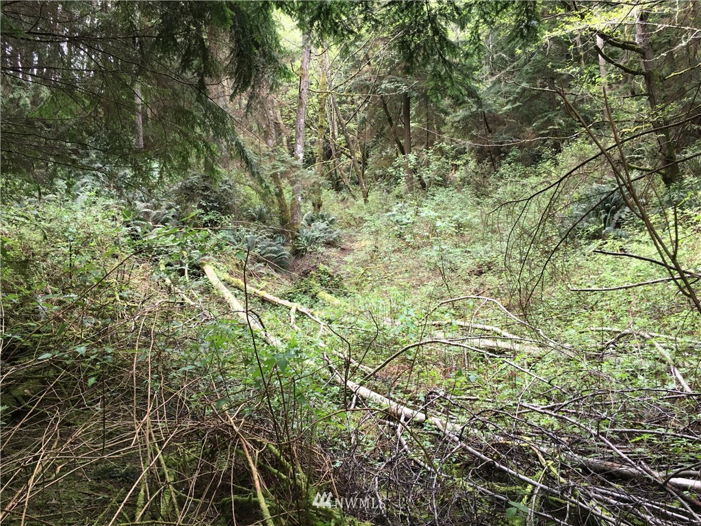 1111 Kirkhill Road Clinton, WA 98236 - Photo 13 of 13 Gallery Image 13