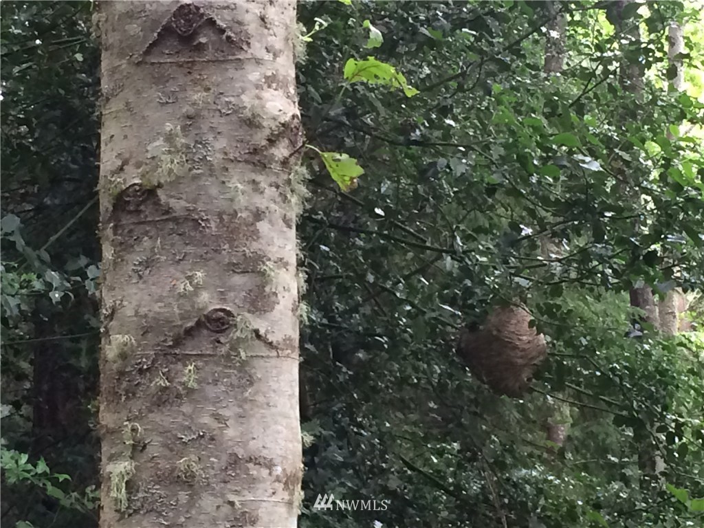 1111 Kirkhill Road Clinton, WA 98236 - Photo 5 of 13 Gallery Image 5