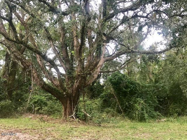 3733 Roberts Road Moss Point, MS 39562 - Photo 24 of 25 IMG_2462