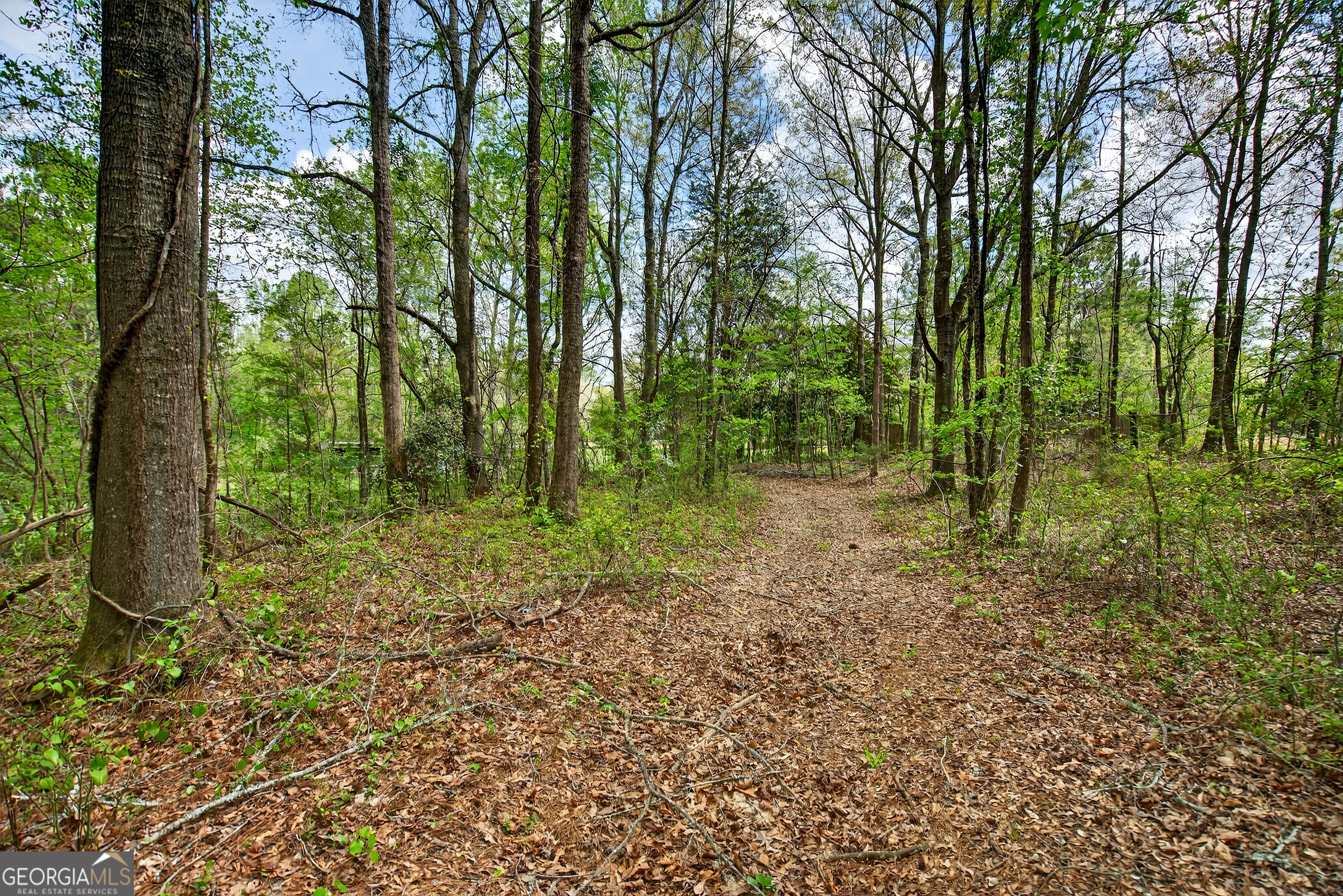 7142 Hamilton Road Pine Mountain, GA 31822 - Photo 43 of 66