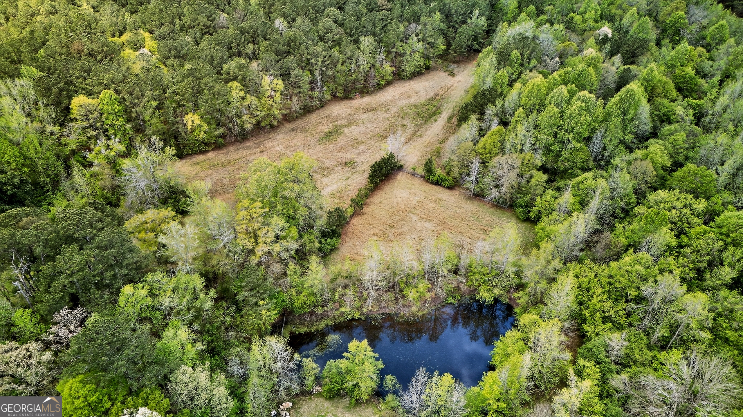 7142 Hamilton Road Pine Mountain, GA 31822 - Photo 50 of 66