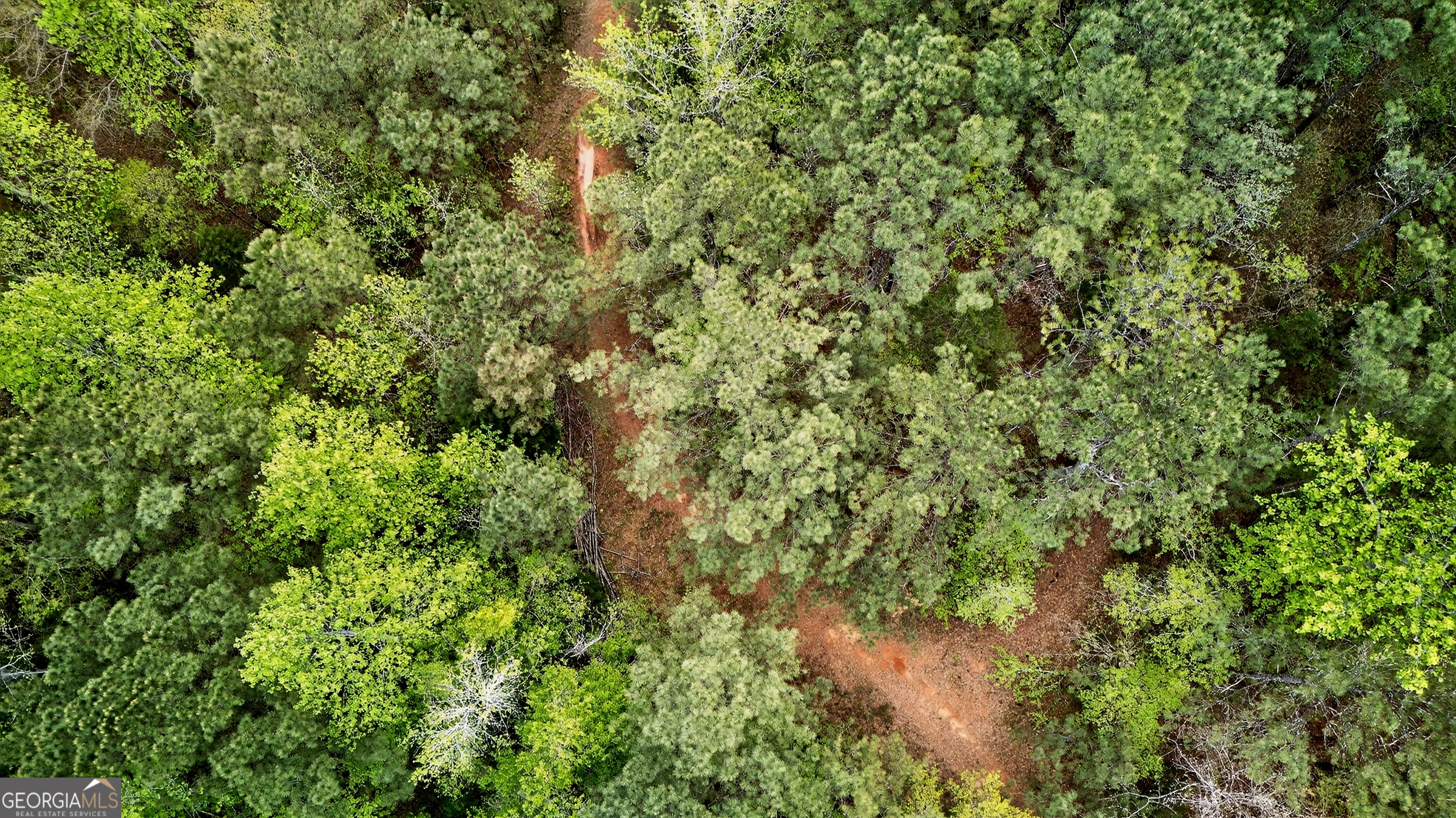 7142 Hamilton Road Pine Mountain, GA 31822 - Photo 53 of 66