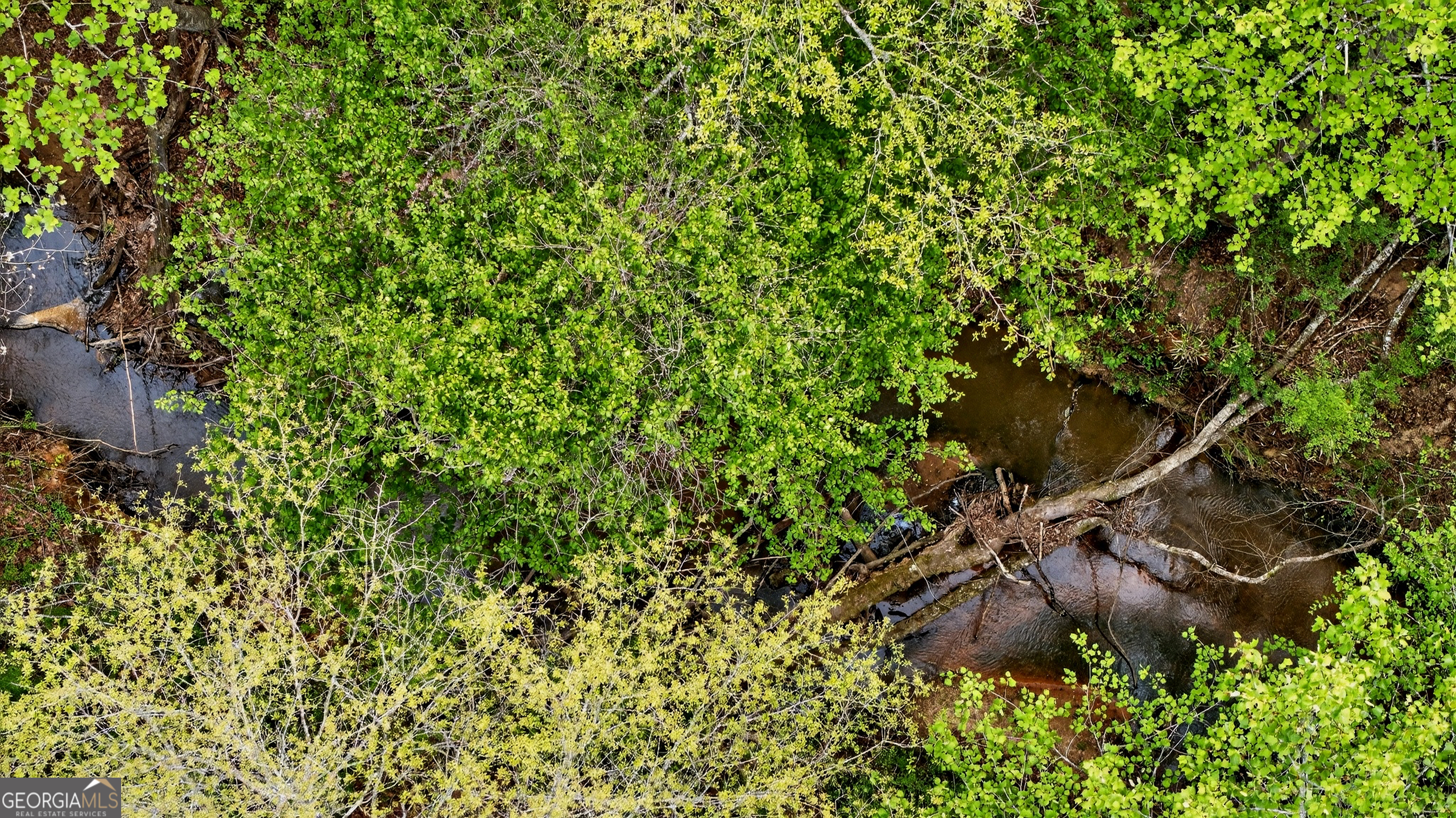 7142 Hamilton Road Pine Mountain, GA 31822 - Photo 54 of 66