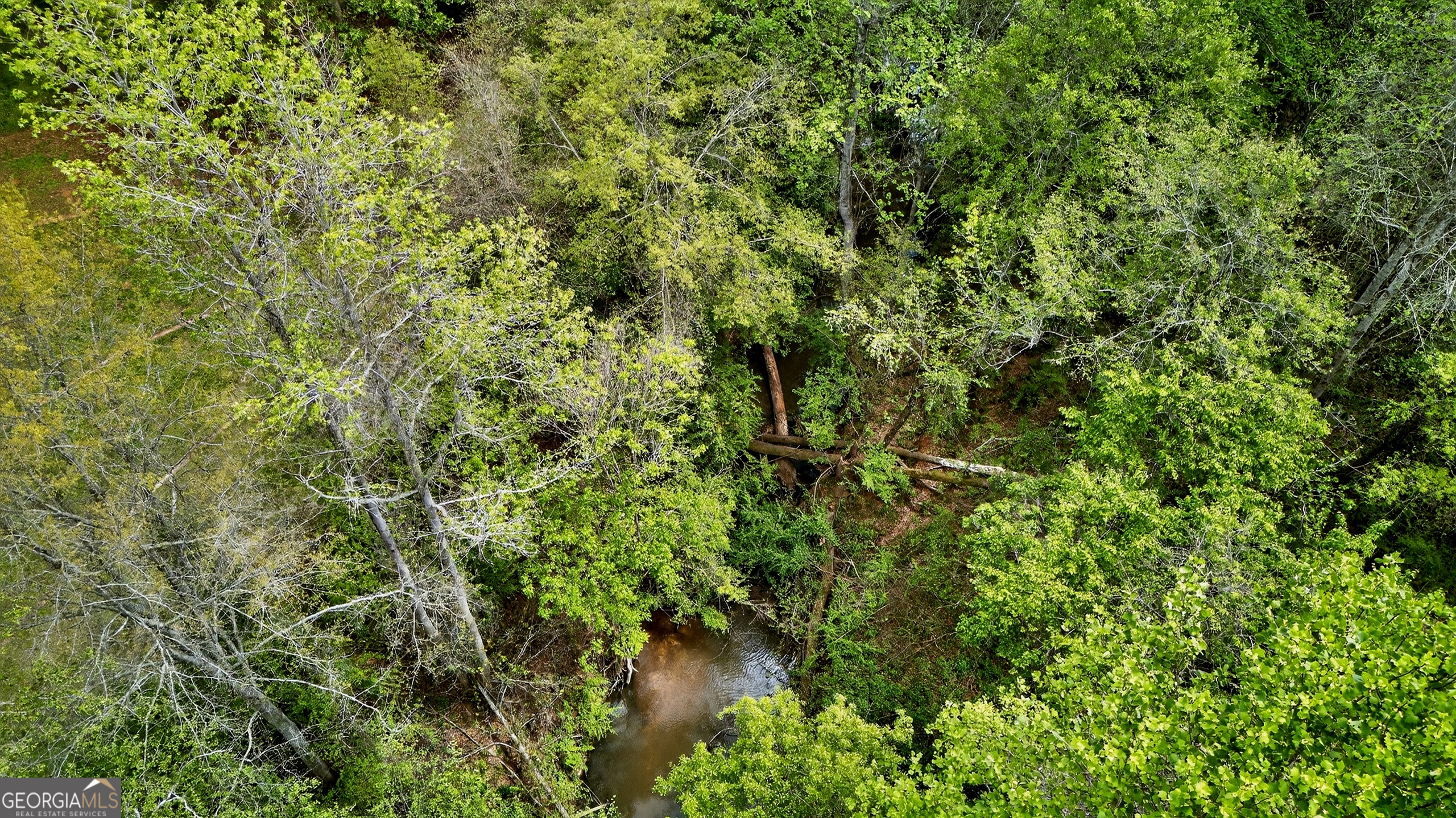 7142 Hamilton Road Pine Mountain, GA 31822 - Photo 55 of 66