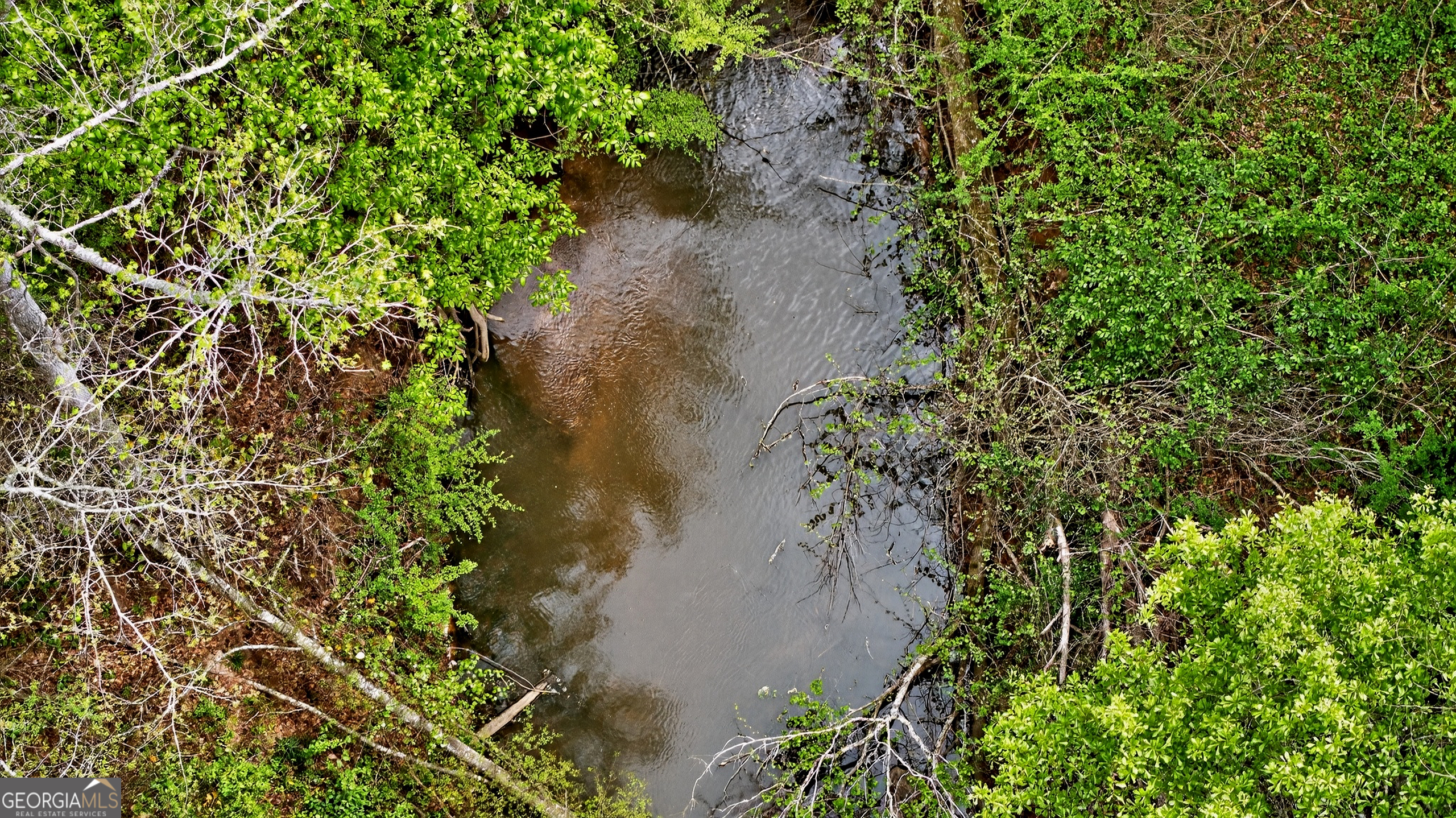 7142 Hamilton Road Pine Mountain, GA 31822 - Photo 60 of 66