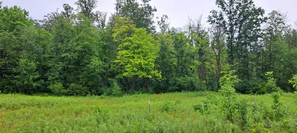$44,900 | 16224 W Musky Point Drive, Stone Lake, WI 54876