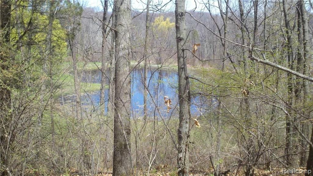 V/l V/l Doyle Road Pinckney, MI 48169 - Photo 9 of 24