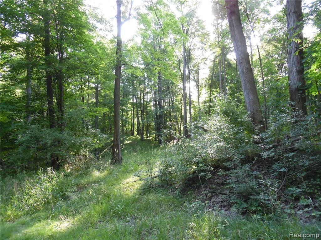 Par A Hosner Road Metamora, MI 48455 - Photo 1 of 2