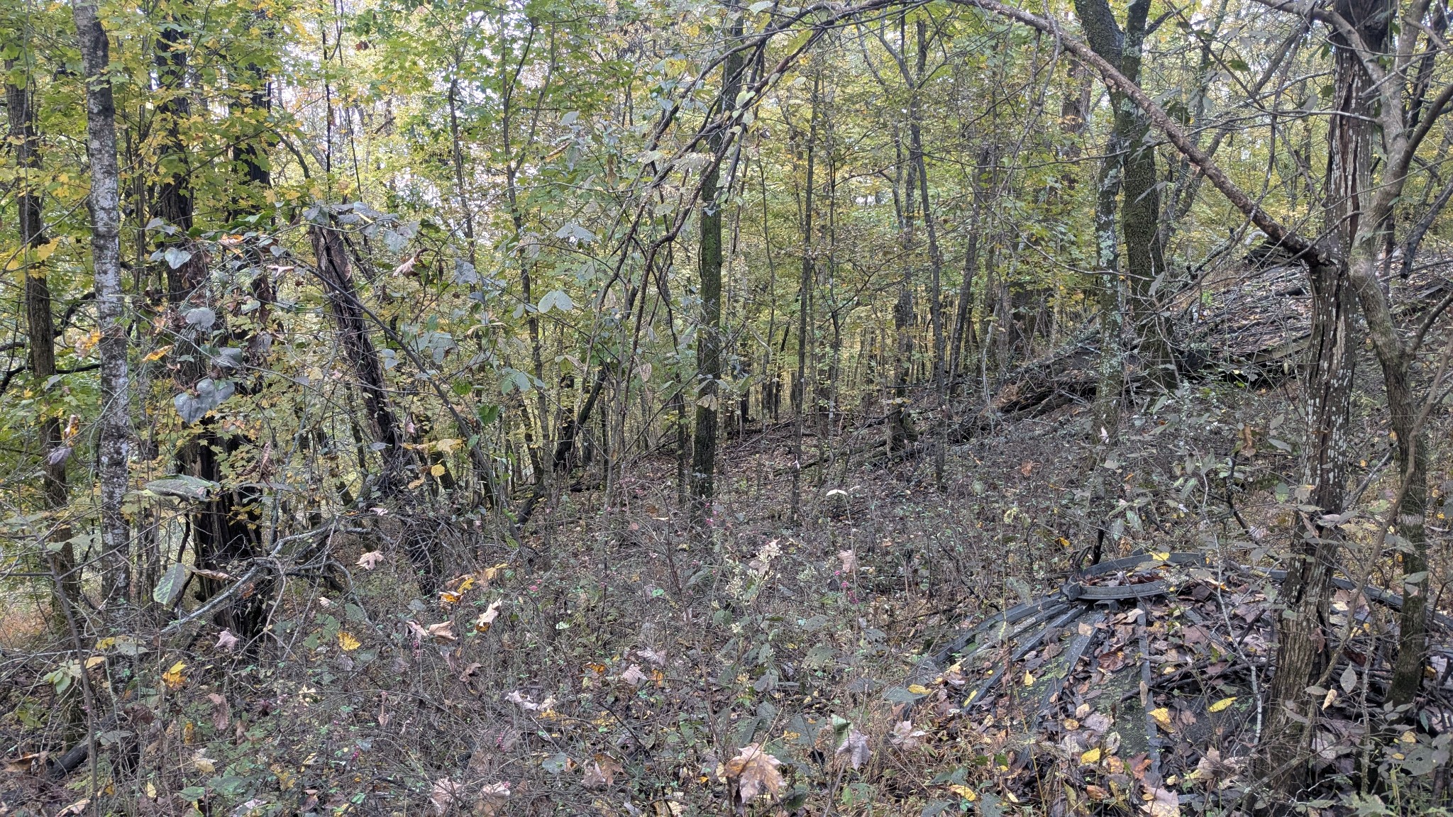 0 Greenvale Road Auburntown, TN 37016 - Photo 10 of 16 Gallery Image 10