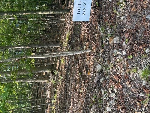 110 Steeple Point Drive Defiance, MO 63341 - Photo 2 of 2