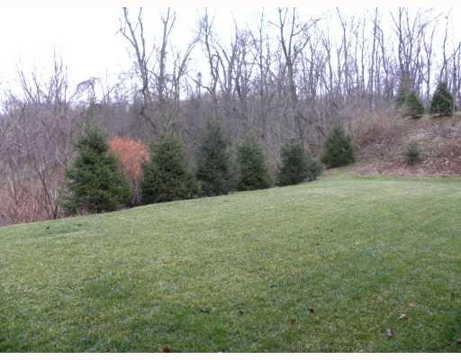 203 East Harbison Road Pittsburgh, PA 15205 - Photo 18 of 18 Yard/Garden. Nice level yard that backs to woods.