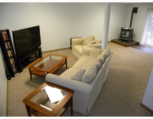 203 East Harbison Road Pittsburgh, PA 15205 - Photo 8 of 18 Den/Family/Great Room. The lower level is finished with a cozy wood pellet stove and access to the patio and yard.