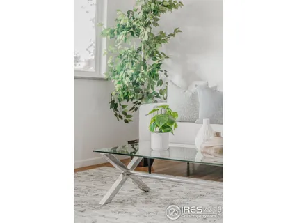 a potted plant sitting in front of a door