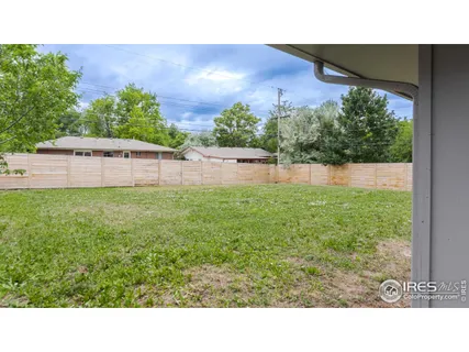 a black and white photo of a forest