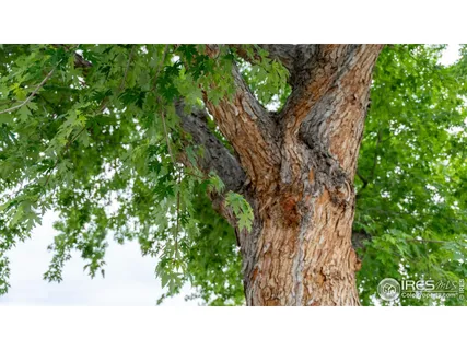 a balcony with furniture and a garden