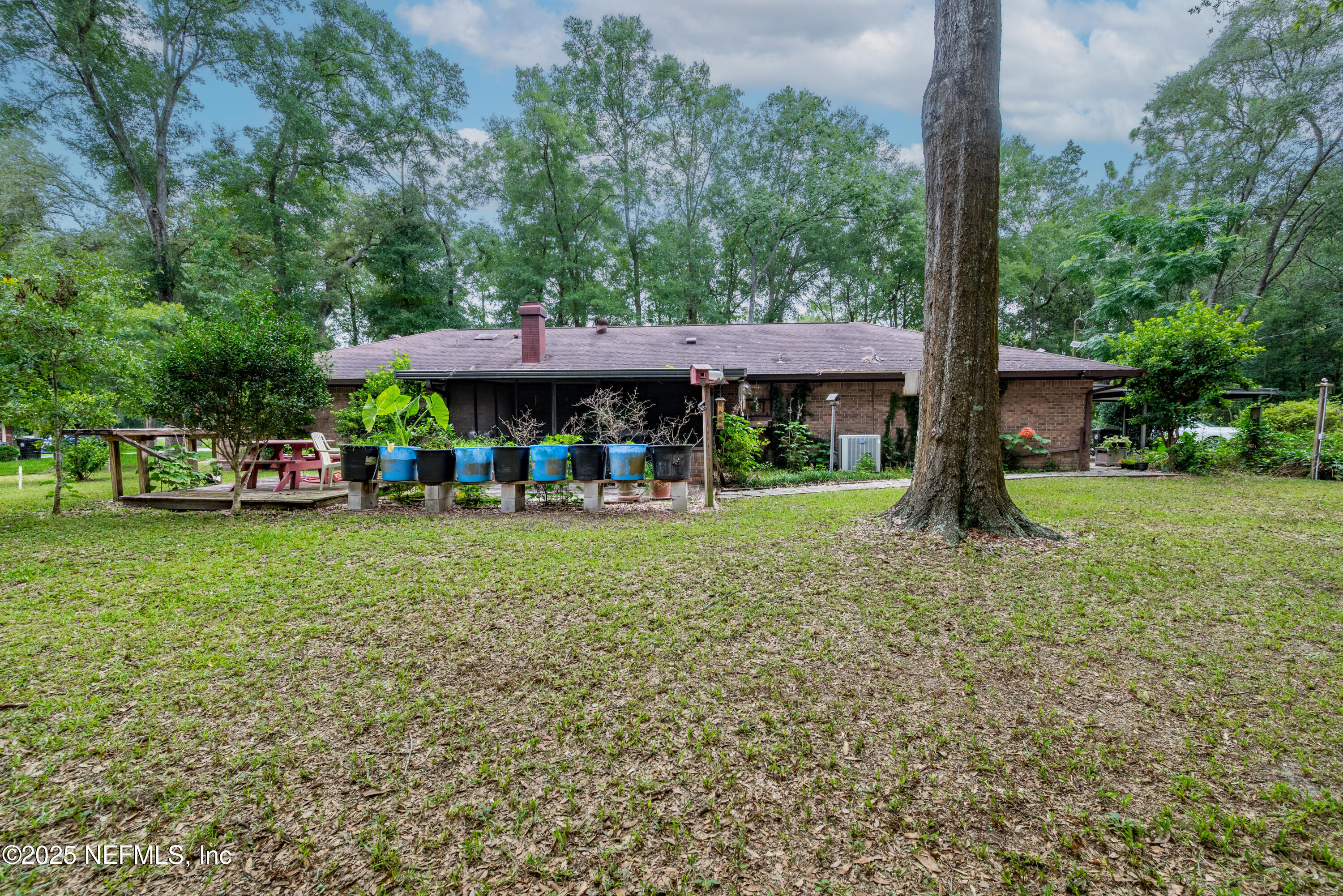 4253 Chokeberry Road Middleburg, FL 32068 - Photo 36 of 42 Chokeberry Road-25