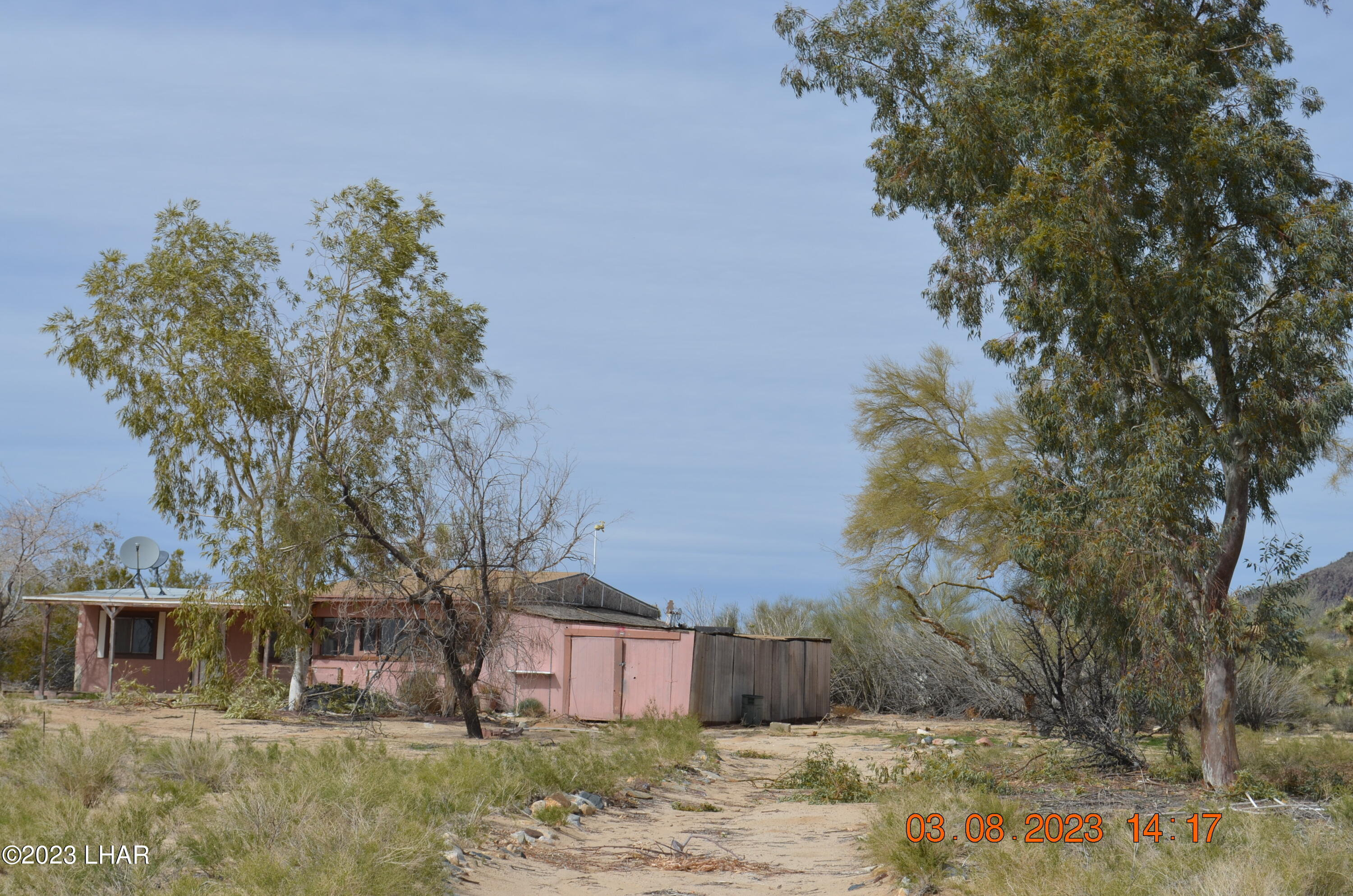 11841 Carrow Road Yucca, AZ 86438 - Photo 5 of 17 Some Mature Landscaping Remains