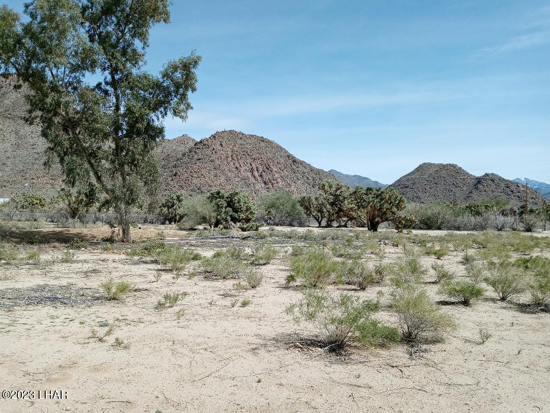 11841 Carrow Road Yucca, AZ 86438 - Photo 8 of 17 View Across Property