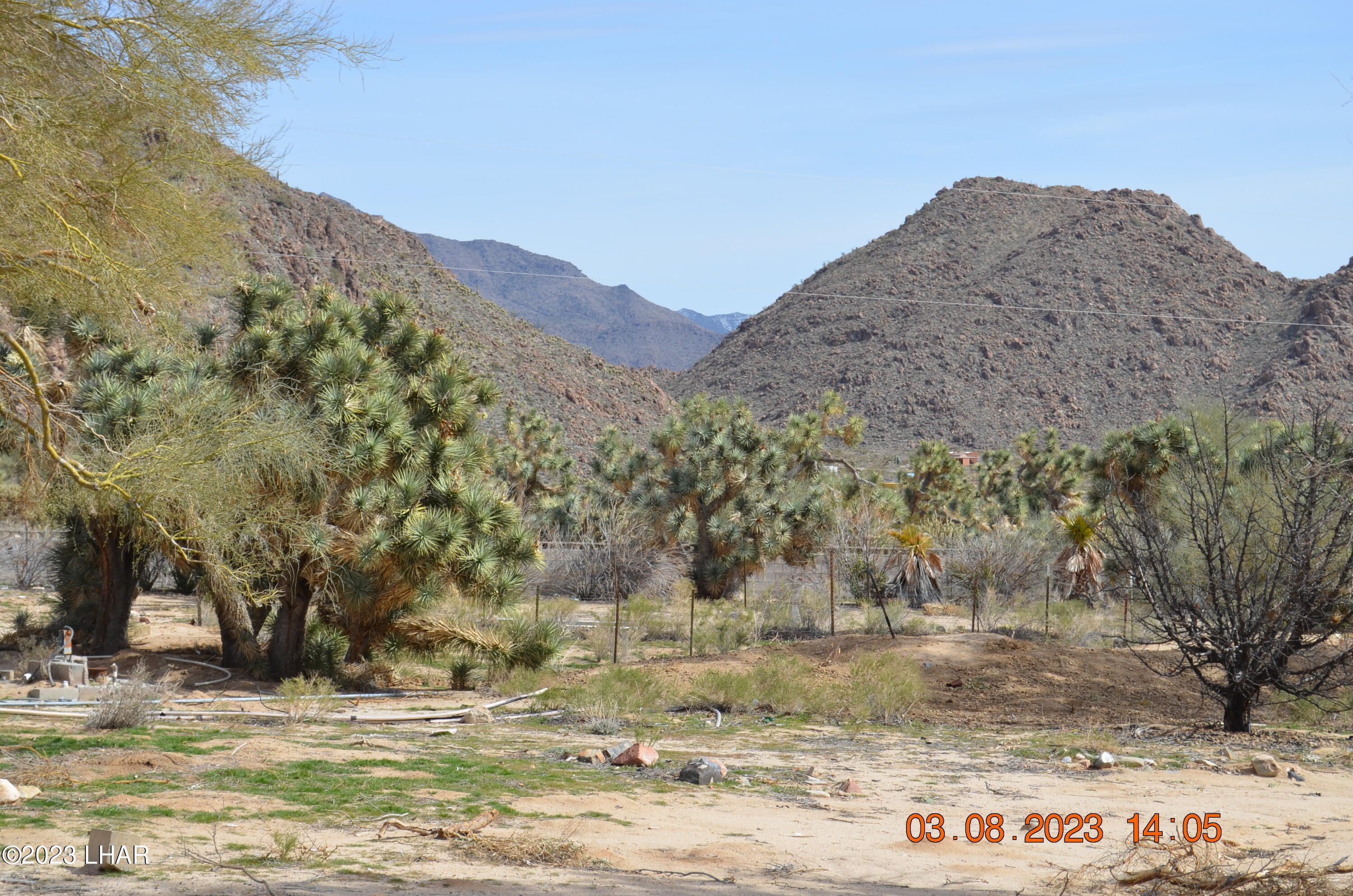 11841 Carrow Road Yucca, AZ 86438 - Photo 9 of 17 Mountain Views