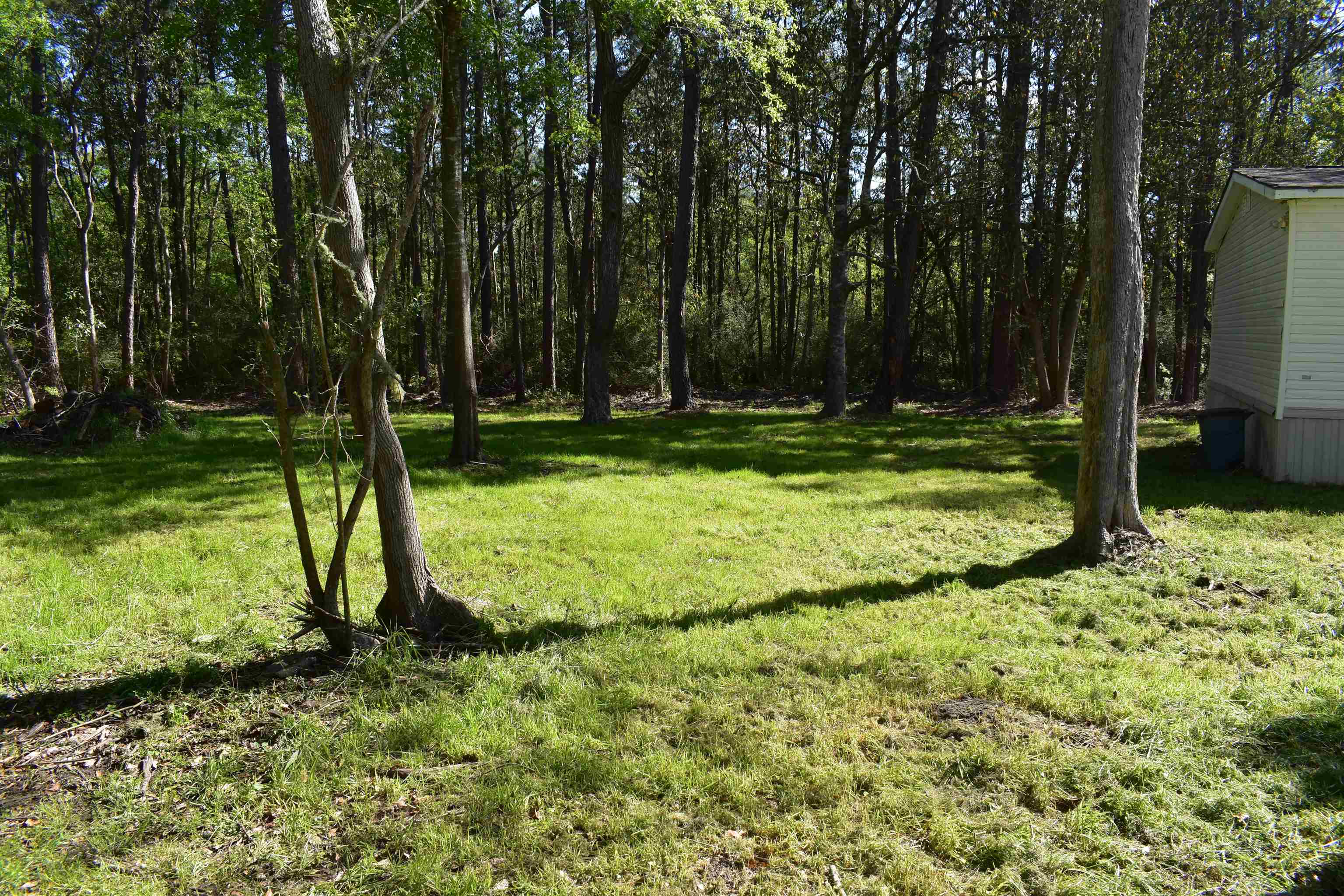 24171 Woerner Road Elberta, AL 36530 - Photo 6 of 15