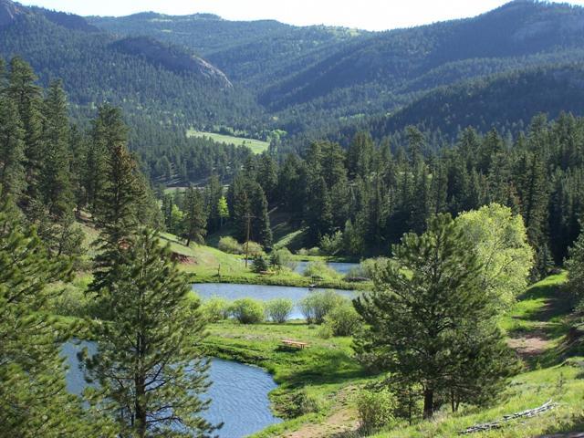 33907 Jenifer Road Pine, CO 80470 - Photo 1 of 1 Gallery Image 1