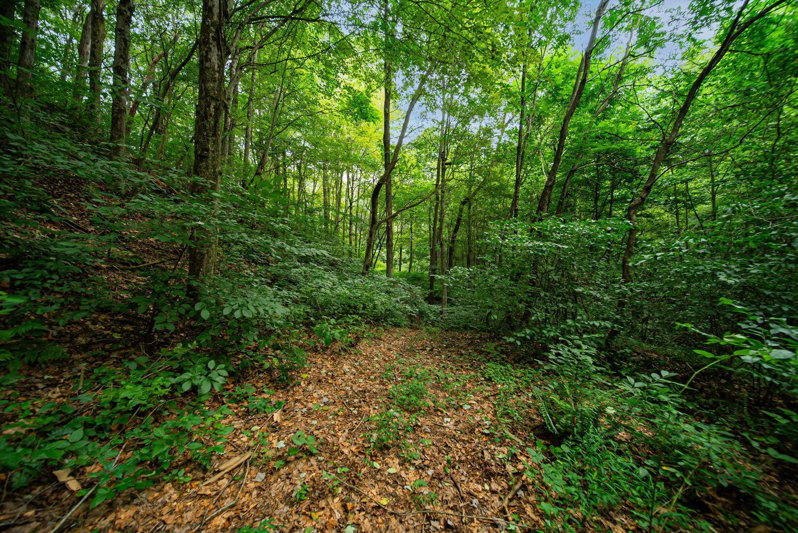 9758 Wesley Chapel Road Mount Perry, OH 43760 - Photo 20 of 43 19-web-or-mls-Todd Burns - 9758 Wesley C