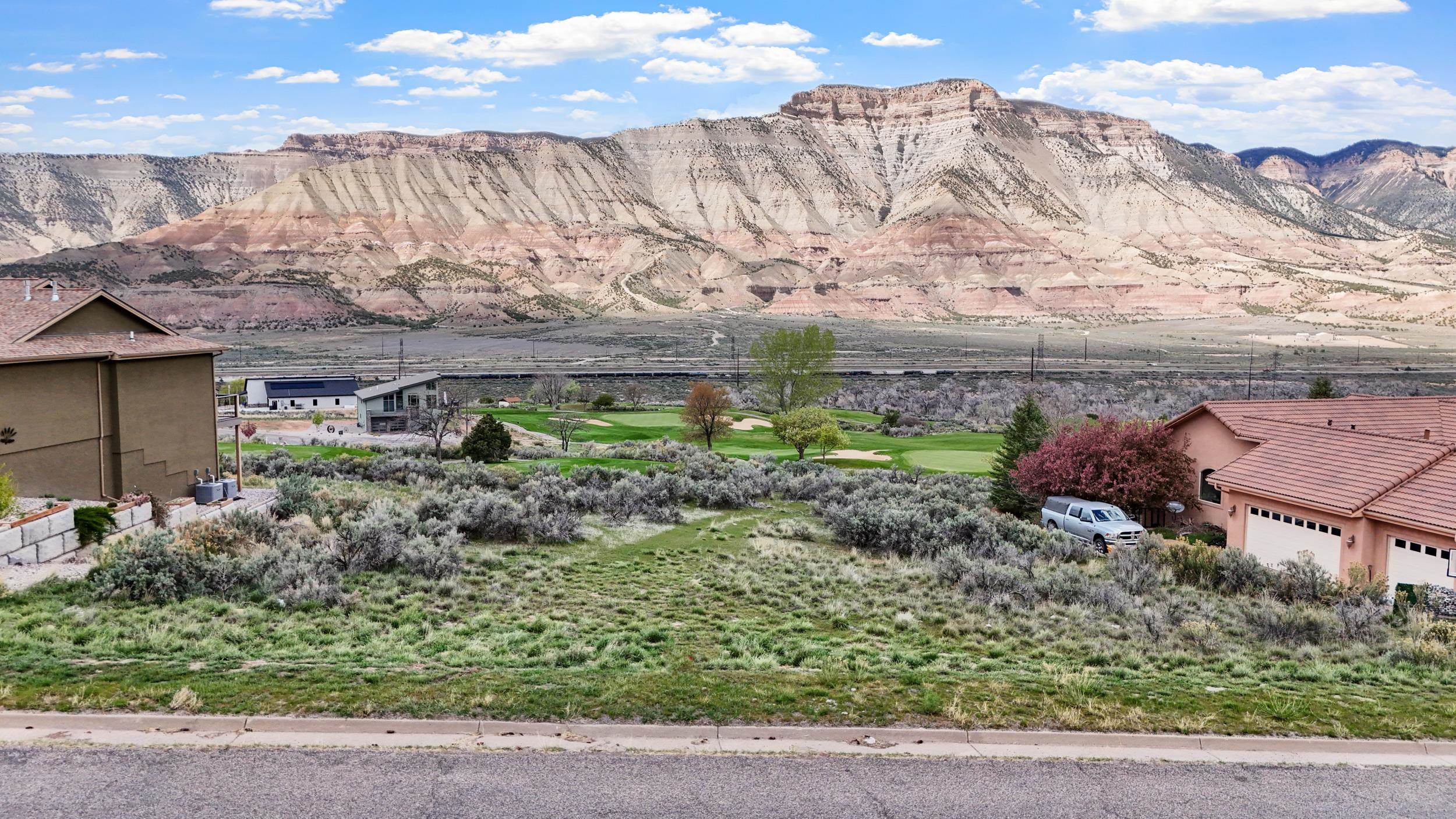 a view of a garden with a mountain