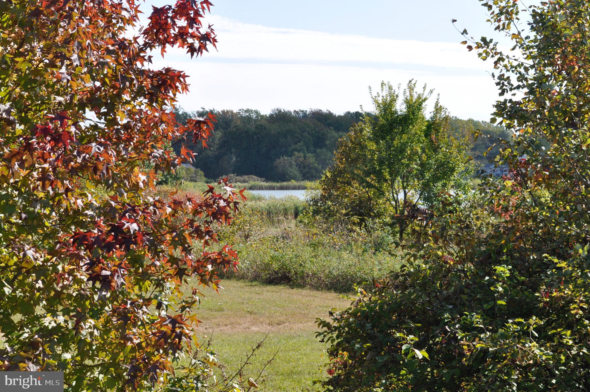 212 Case Road Townsend, DE 19734 - Photo 25 of 26