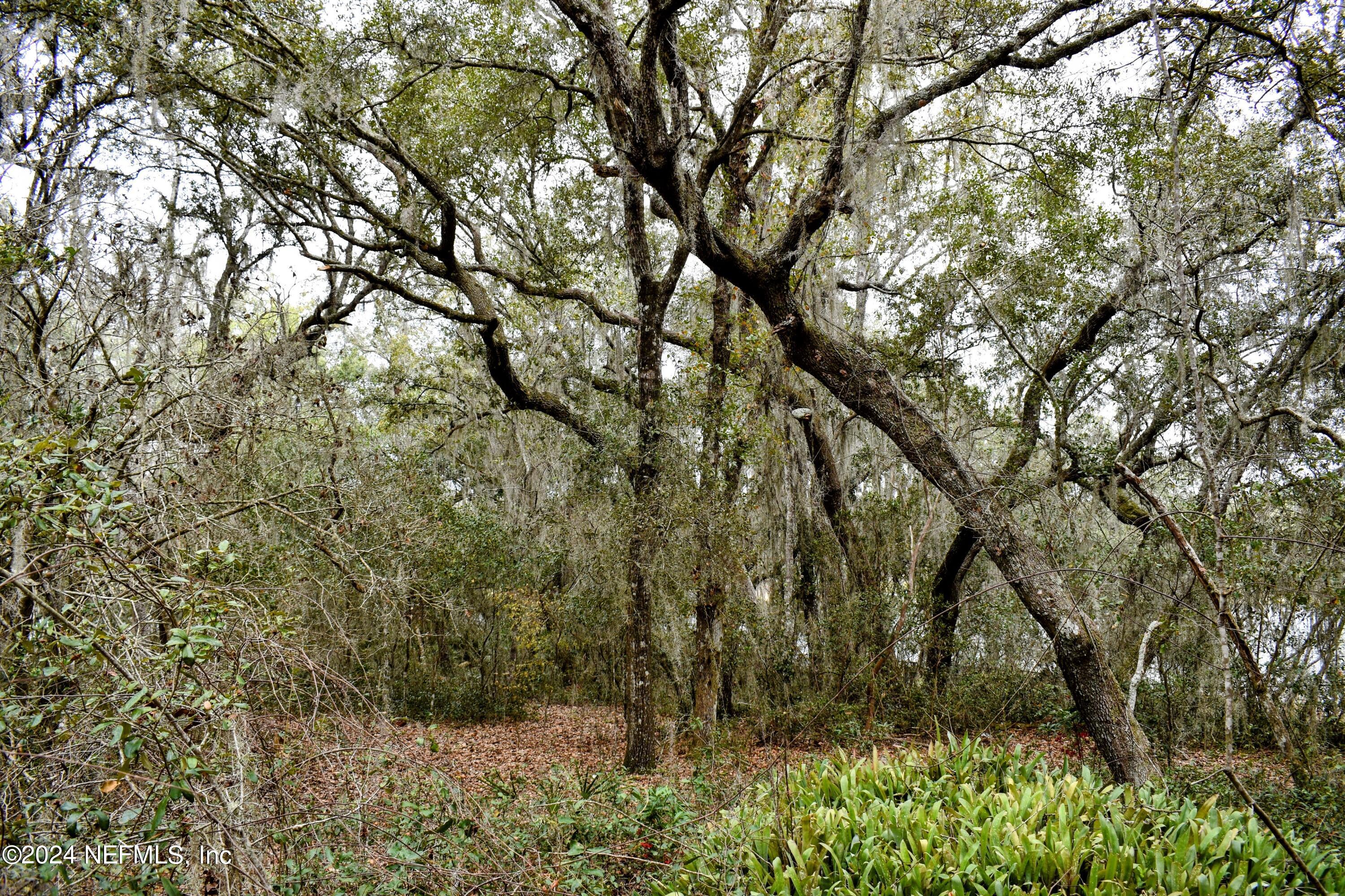 112 Hanson Road Interlachen, FL 32148 - Photo 5 of 13 a view of a yard