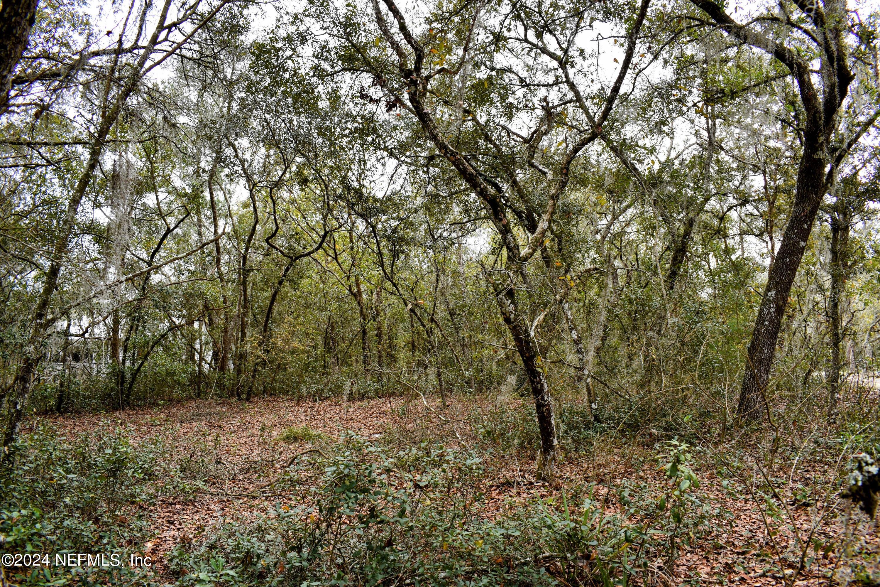 112 Hanson Road Interlachen, FL 32148 - Photo 6 of 13 a view of outdoor space and a yard