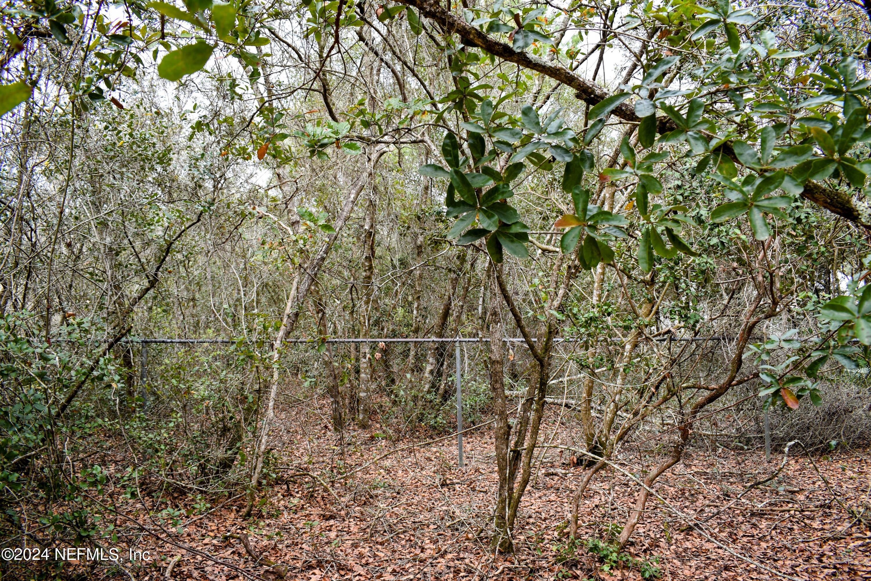 112 Hanson Road Interlachen, FL 32148 - Photo 7 of 13 a view of a yard with a tree