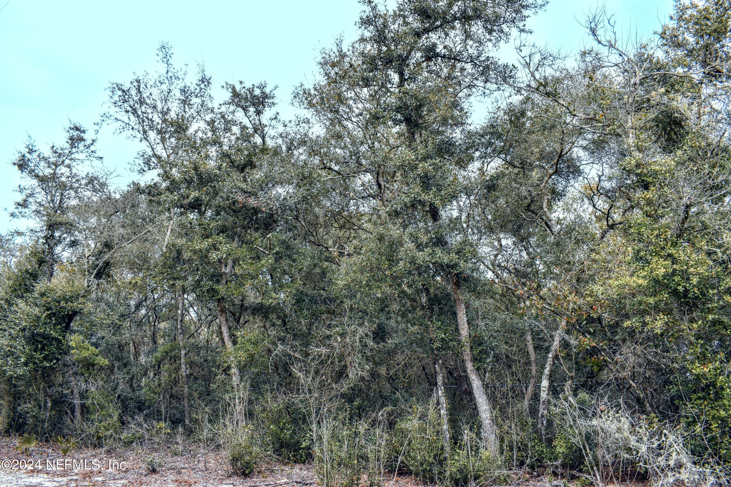 112 Hanson Road Interlachen, FL 32148 - Photo 8 of 13 a view of forest