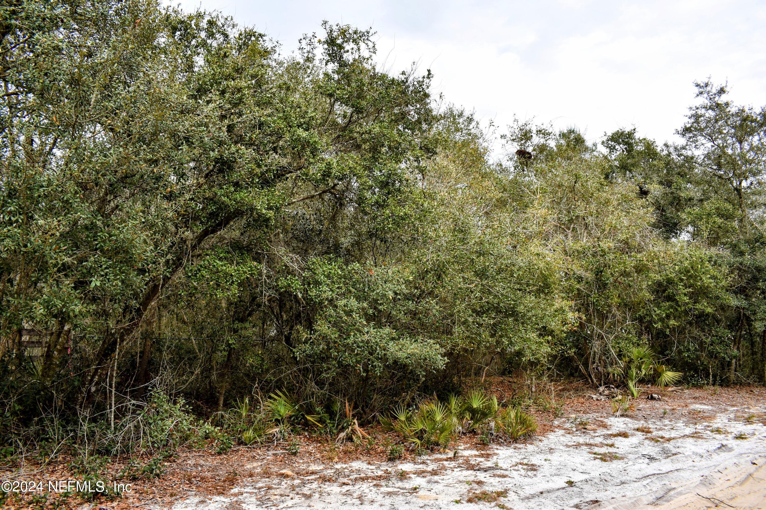 112 Hanson Road Interlachen, FL 32148 - Photo 10 of 13 a view of a yard