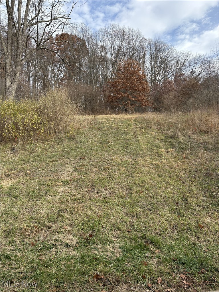 144 Arrow Road Southwest Carrollton, OH 44615 - Photo 2 of 21 View of yard
