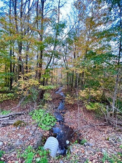 221 Drews Mill Road Linneus, ME 04730 - Photo 36 of 42 IMG_6431