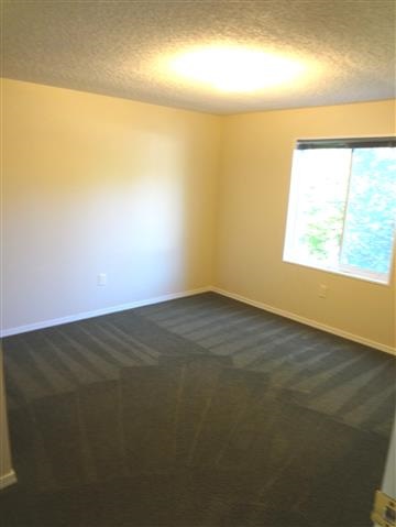 6360 Sundown Road Nine Mile Falls, WA 99026 - Photo 12 of 15 Gallery Image 12