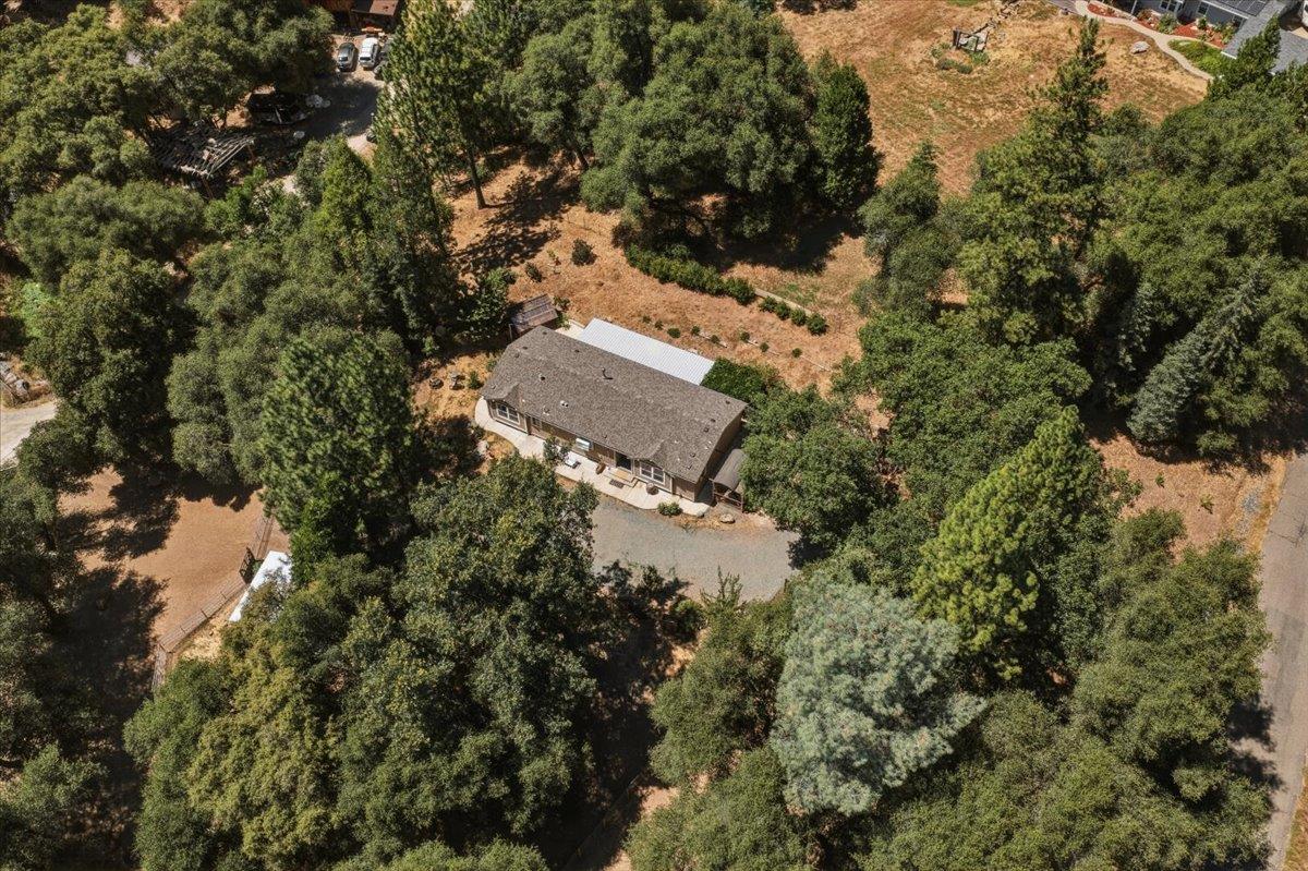 4246 Silver Ridge Court Placerville, CA 95667 - Photo 45 of 48
