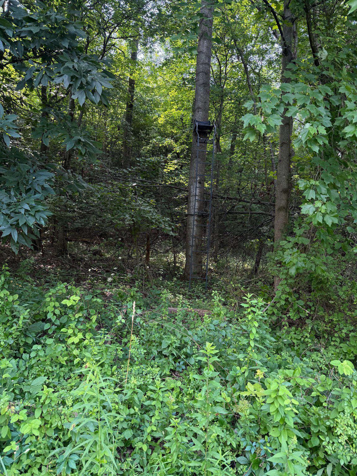 501 Tracey Road Hanover, PA 17331 - Photo 3 of 8